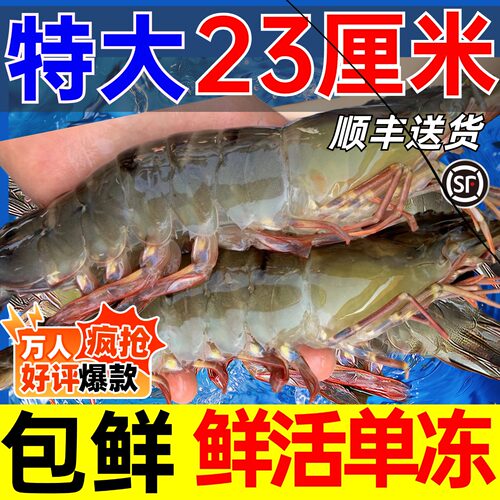 大虾鲜活速冻超大特大青岛海鲜水产基围虾海捕基围虾白虾对虾新鲜