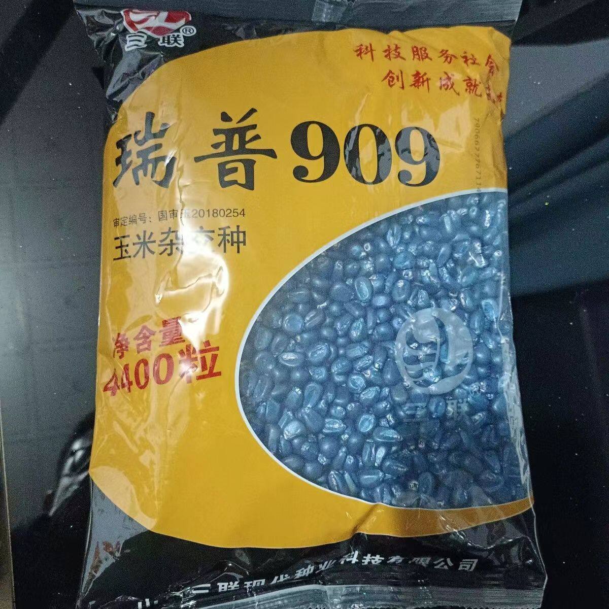 瑞普909国审杂交玉米种子高产正品南北方春夏播大棒优质玉米种籽