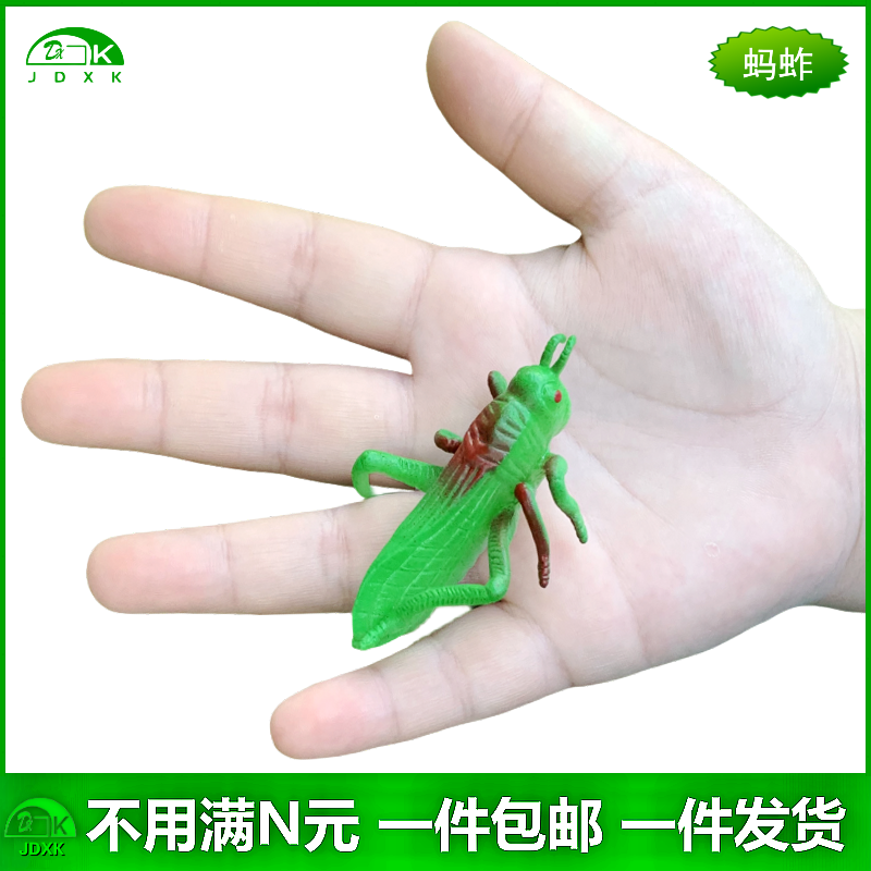 软胶仿真蚂蚱绿色蚱蜢幼儿园儿童认知公开课教具玩具昆虫动物模型