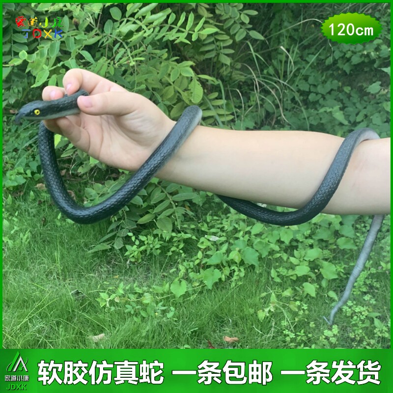 仿真蛇软胶送小蛇眼镜蛇包邮