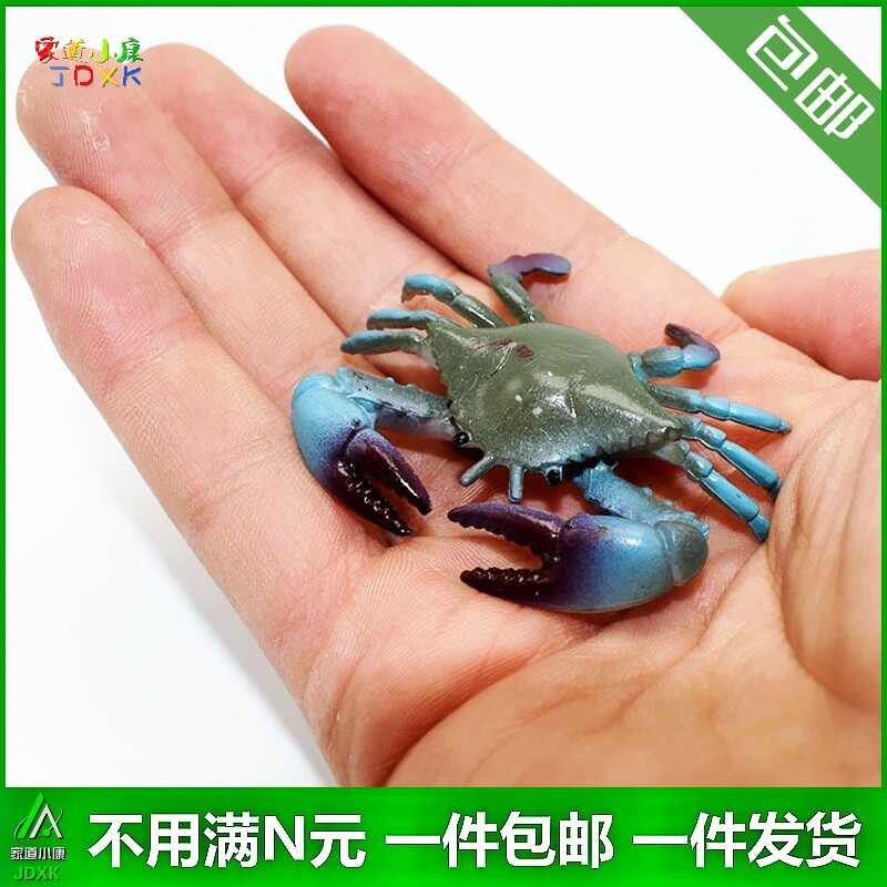 塑胶迷你龙虾剑鱼套装儿童可爱