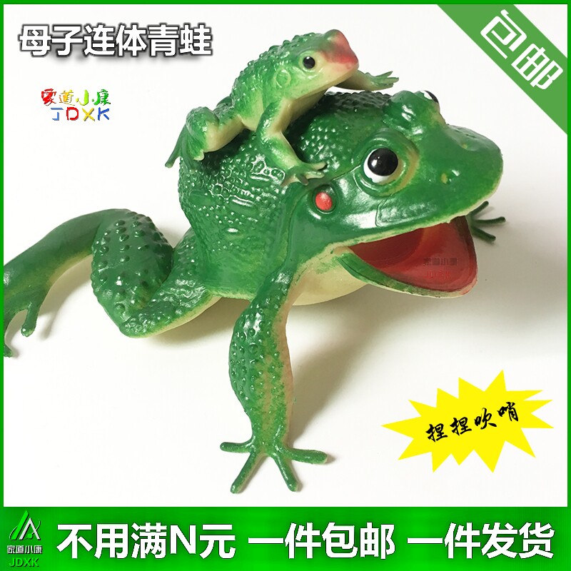 发声会叫模具小青蛙蜥蜴