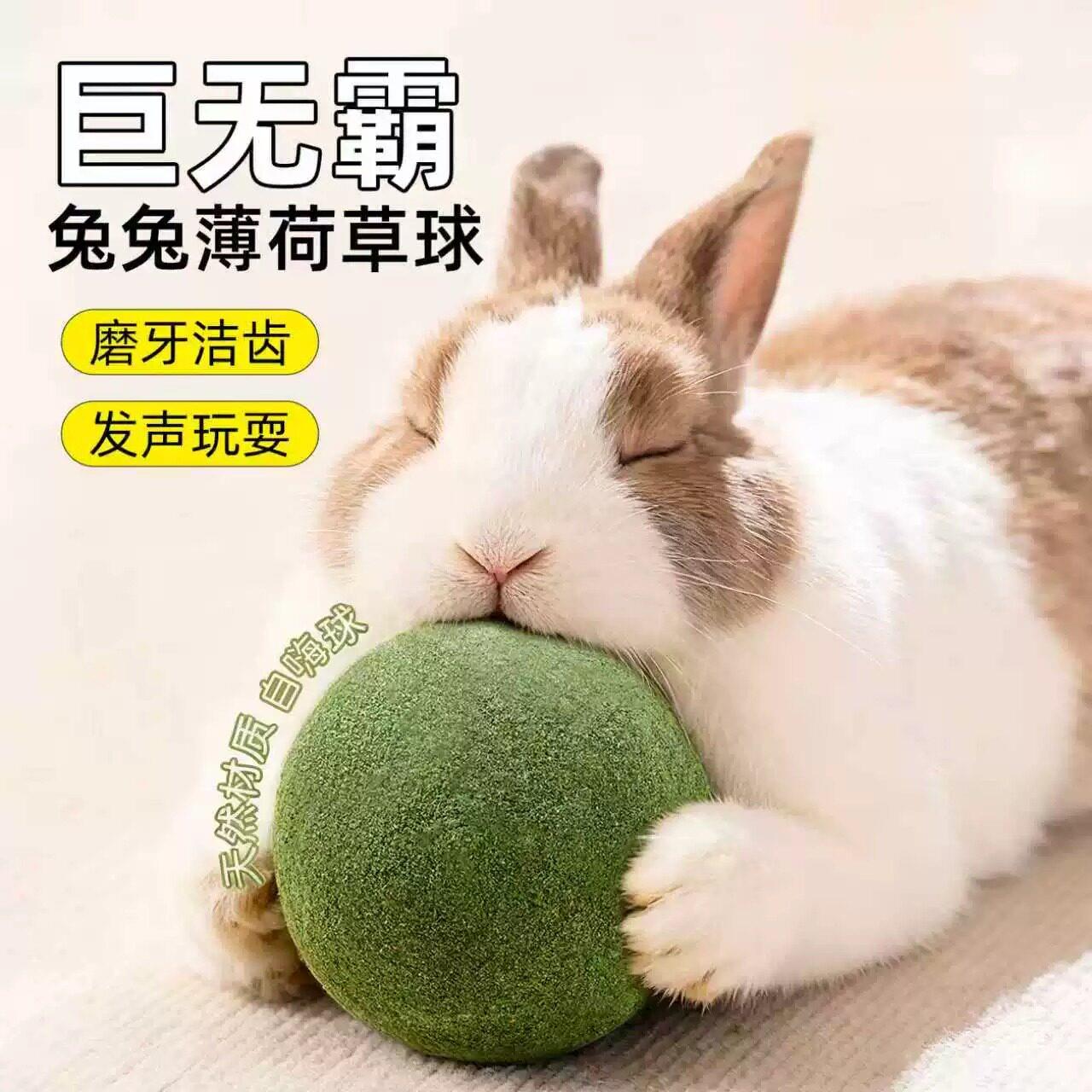 兔子磨牙棒兔兔玩具专用磨牙神器自嗨解闷草球玩具零食宠物宠物图片