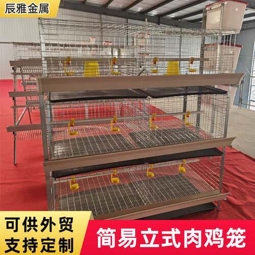 农用自家用立式肉鸡笼养殖笼具三层四层热镀锌鸡笼养殖设备养鸡