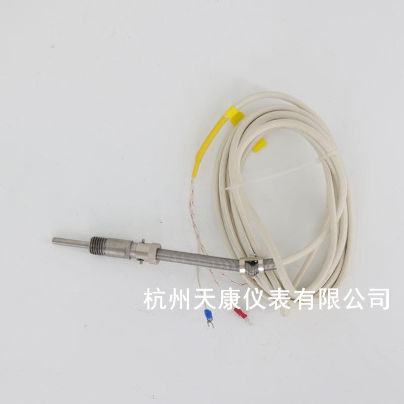 家插座热电WZP-276表阻式耐用抗震厂温湿度仪 优质热电阻