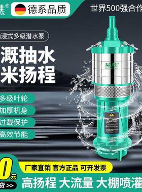 晨蛙QD多级潜泵220V老水鼠WNH农用灌溉抽水泵高扬程用家小小型抽