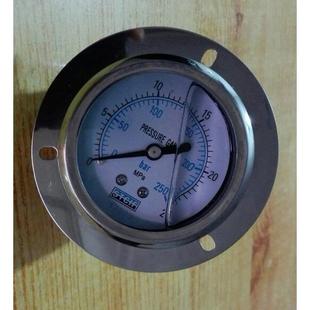 250bar 轴向前带边压力表 压力25mpa 直径63mm stcif 耐震充油型