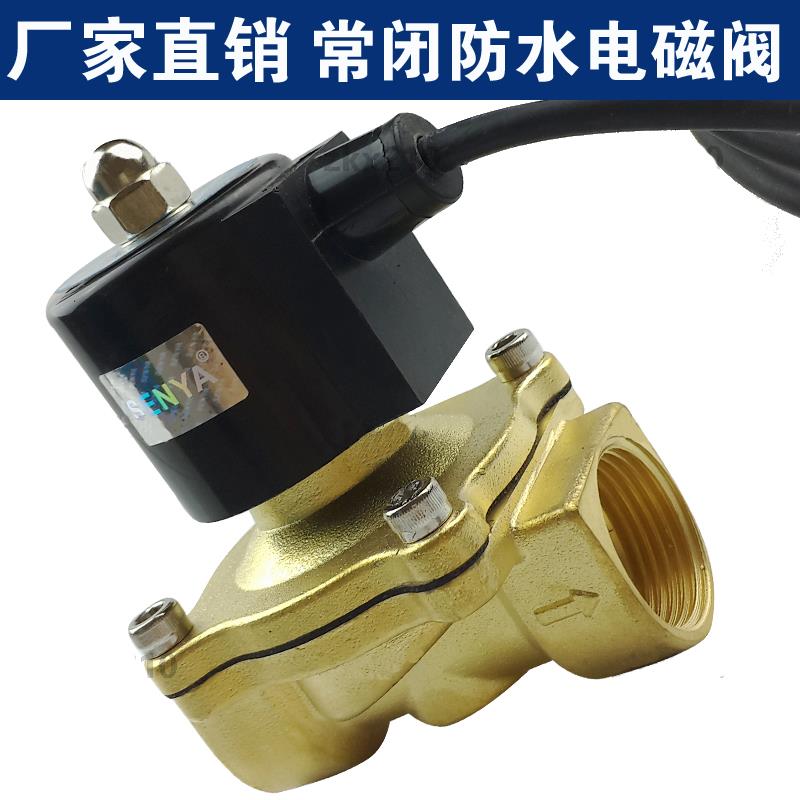 森亚senya4分水下喷泉电磁阀水阀 6分室外完全防水 1寸 2寸 220V