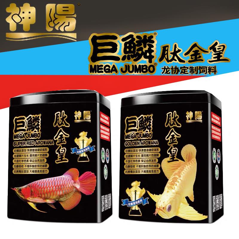 神阳巨鳞肽金皇龙鱼饲料红龙金龙专用赛级高开口率不浑水颗粒鱼食