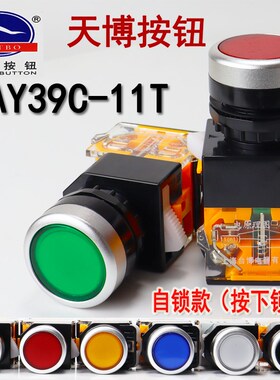 天博按钮 带锁按钮开关 LAY39C-11T 平钮自锁孔径22mm 台博电器