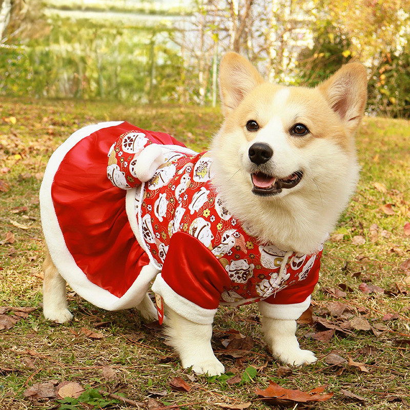 柯基柴犬比熊狗狗衣服宠物棉衣红新年过年喜庆秋冬款保暖加绒裙子