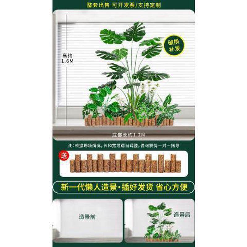 大型绿植造景盆栽角落室内楼梯免安装装饰阳台橱窗假植物景观,家居饰品,仿真花/假花,淘宝优惠券,粉丝福利购,淘宝优惠卷