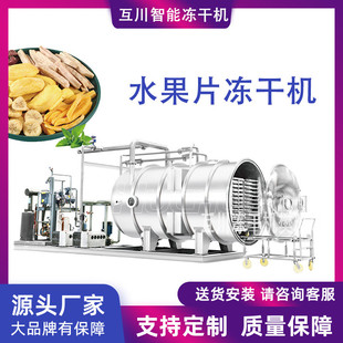 杏干低温冷冻干燥机 大型商用120平方真空冷冻冻干机