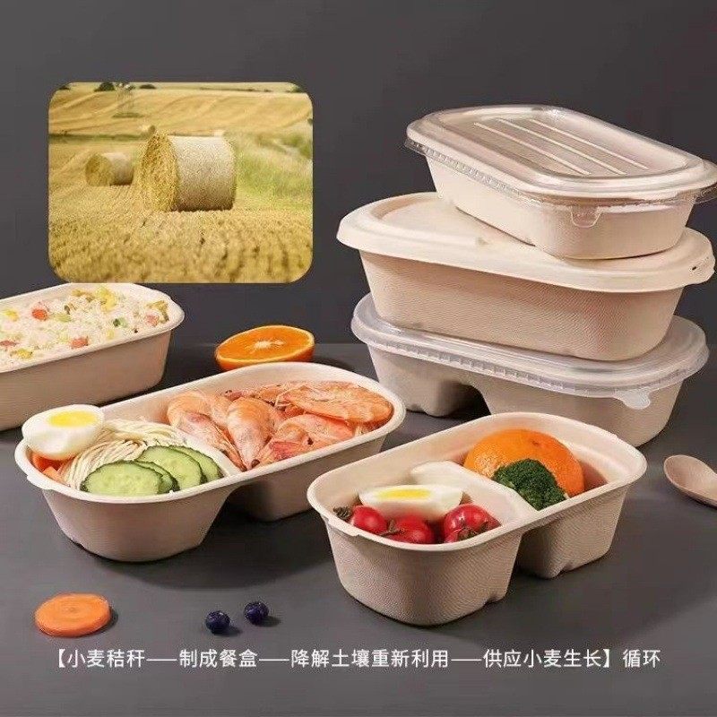 一次性纸浆沙拉盒外卖寿司打包盒减脂轻食长方形餐盒环保意面餐盒