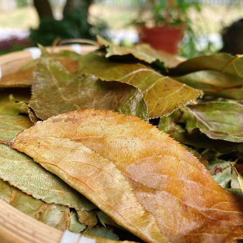 现货湖北特产野生三皮罐茶叶一匹罐袋装大叶茶海棠红茶凝清茶三匹