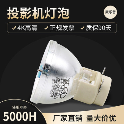 奥图码HD20/HD33/HD26/HD50/S716ST/T766ST E20.8投影仪灯泡