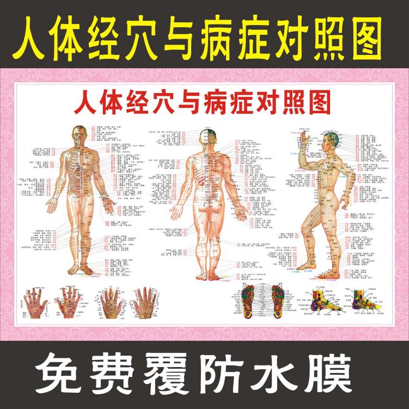 中医艾灸穴位图 针灸经络全身按摩家用 人体经穴与病症对照大挂图