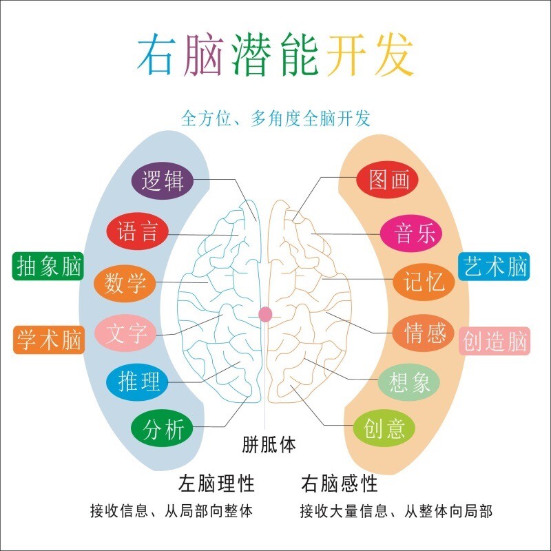 右脑潜能开发海报展板全脑开发让脑细胞跳跃起来墙贴墙纸装饰画