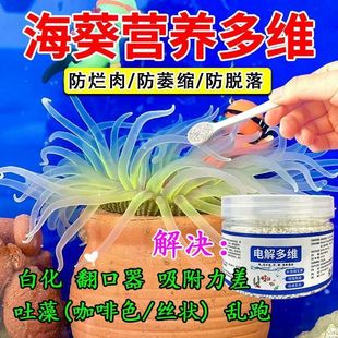 海葵饲料奶嘴脑类玩家LPS软体珊瑚粮硬骨SPS粉易吸收爆头发色
