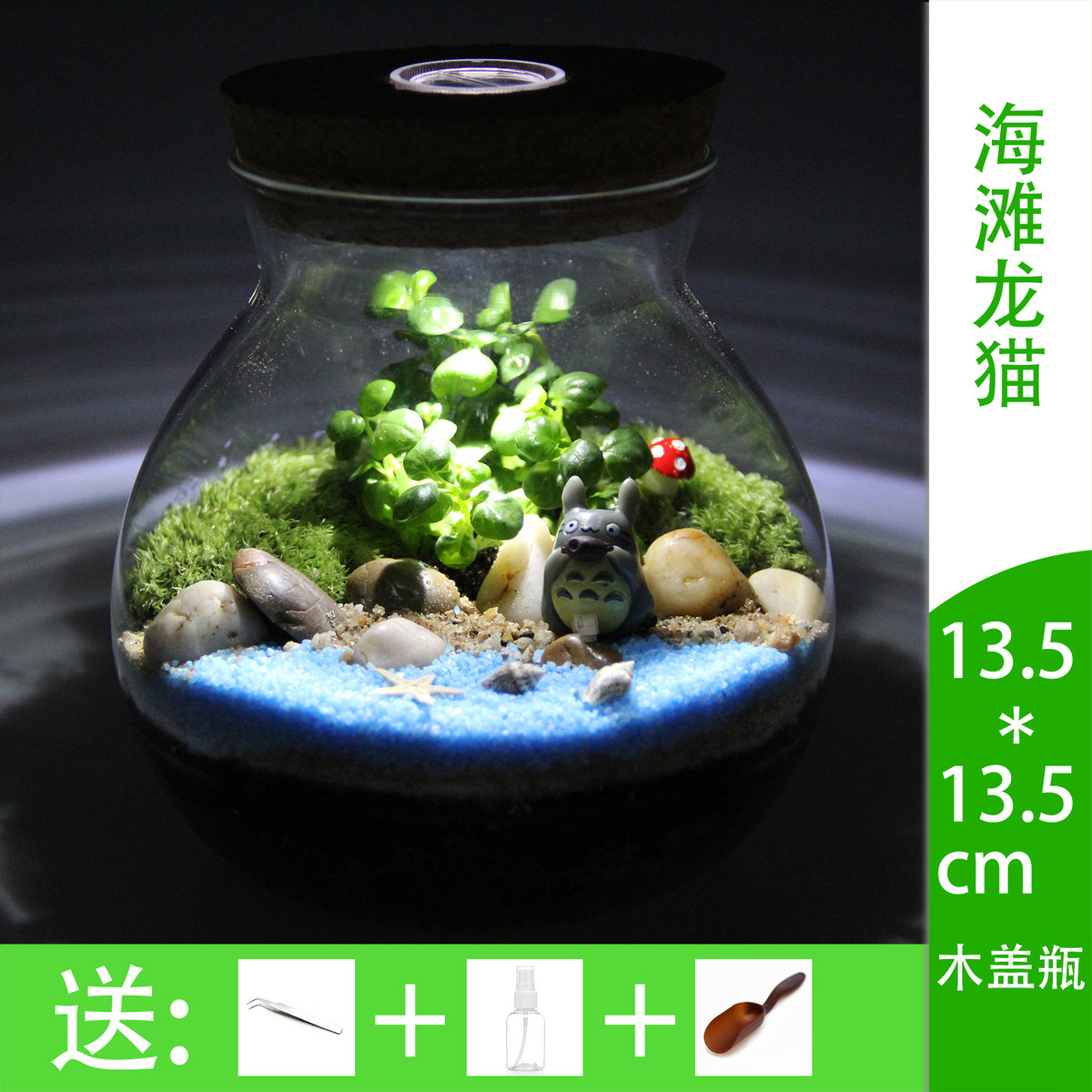 苔藓微景观创意瓶礼品摆件苔藓盆栽生态瓶13.5木塞带灯套装
