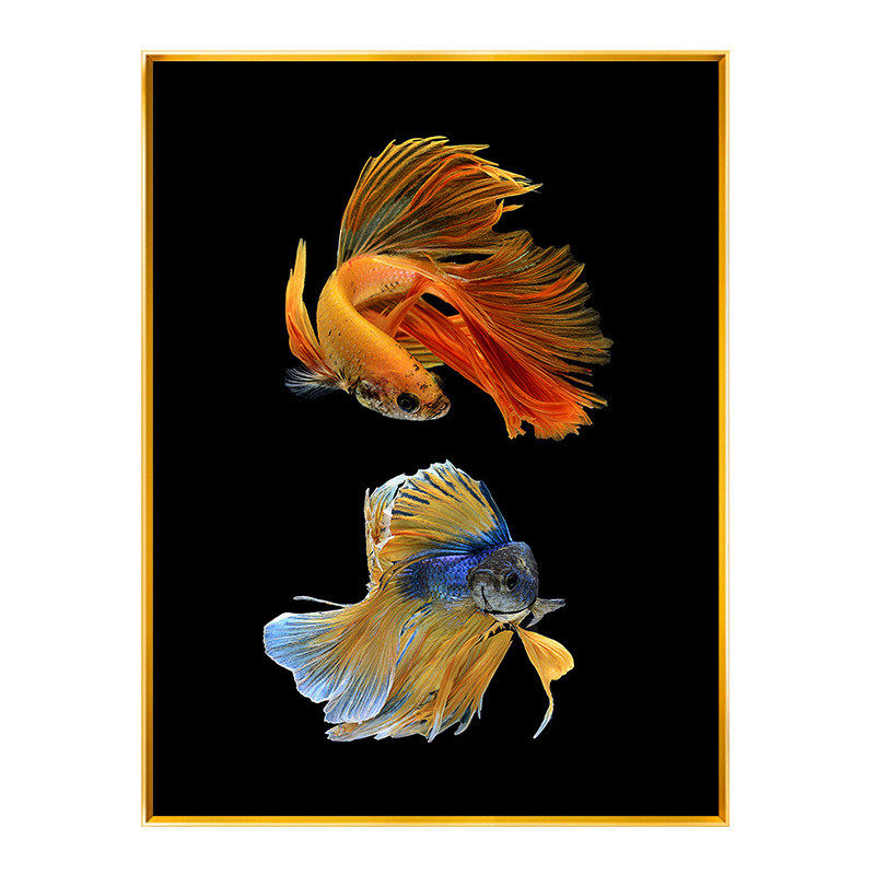 晶瓷画现代简约金鱼客厅沙发背景墙走廊壁画装饰画锦鲤玄关挂画