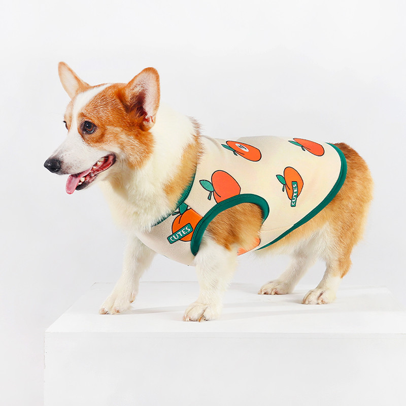 可爱柯基衣服秋冬装背心加绒保暖宠物柴犬雪纳瑞狗狗衣服冬季新款