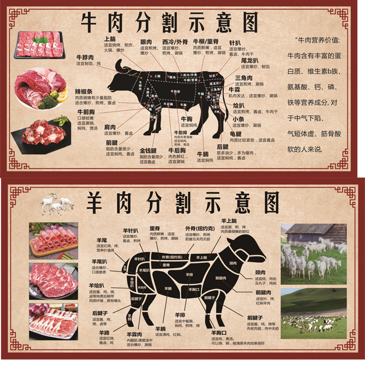 牛肉店分割图装饰画分解部位分切示意图牛排海报户外背胶贴纸广告图片