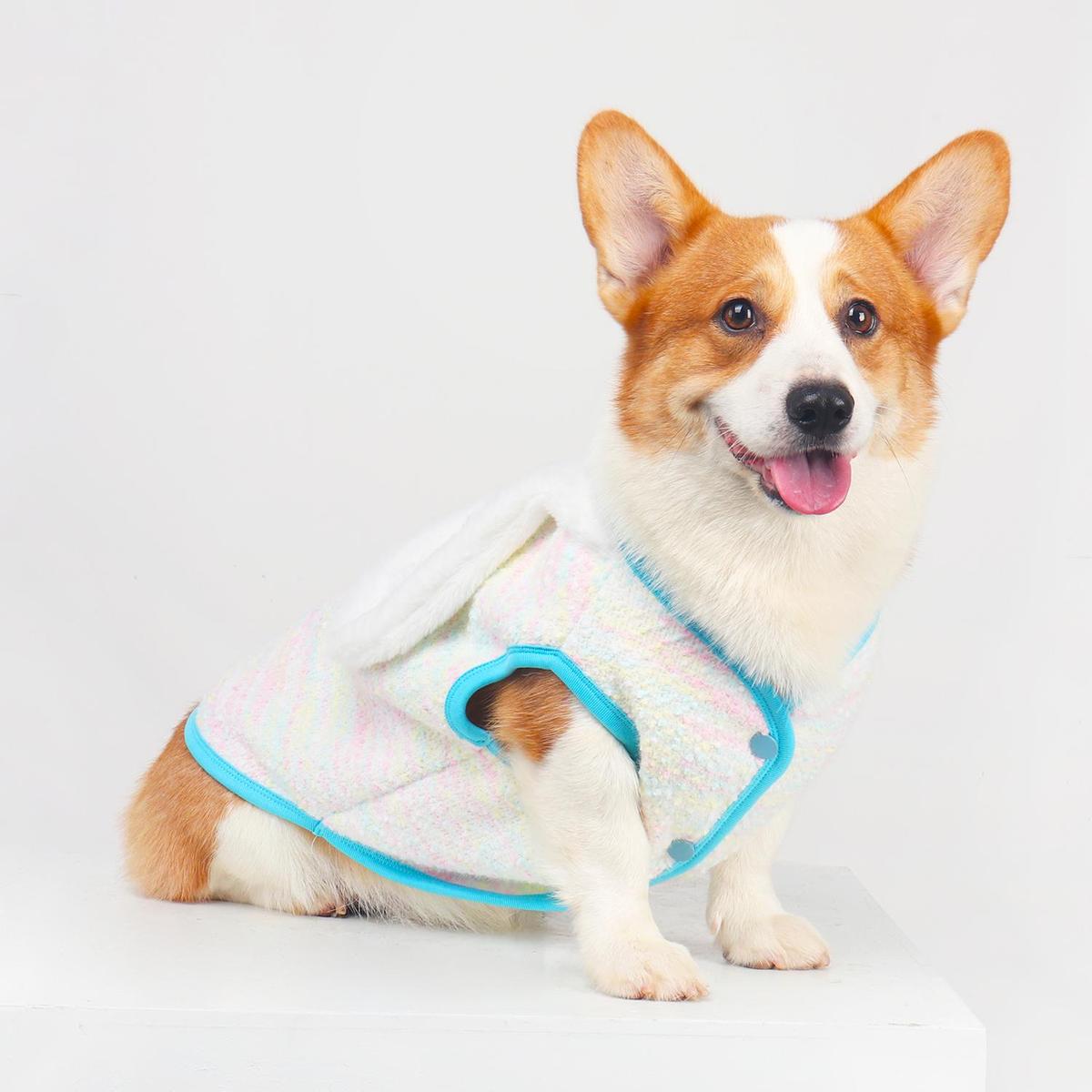 柯基衣服2025秋冬新款狗狗马甲保暖冬装宠物柴犬比熊可爱加绒背心