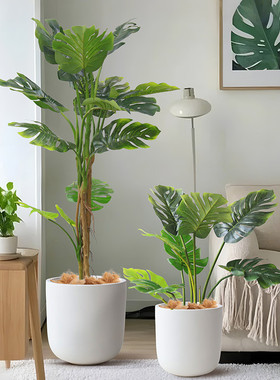 INS风龟背树假盆栽仿真龟背竹仿真绿植盆景北欧风格假树盆景