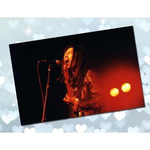 海报装饰画 摇滚明星 摇滚乐美图 老谢天笑冷血动物室内宿舍贴画