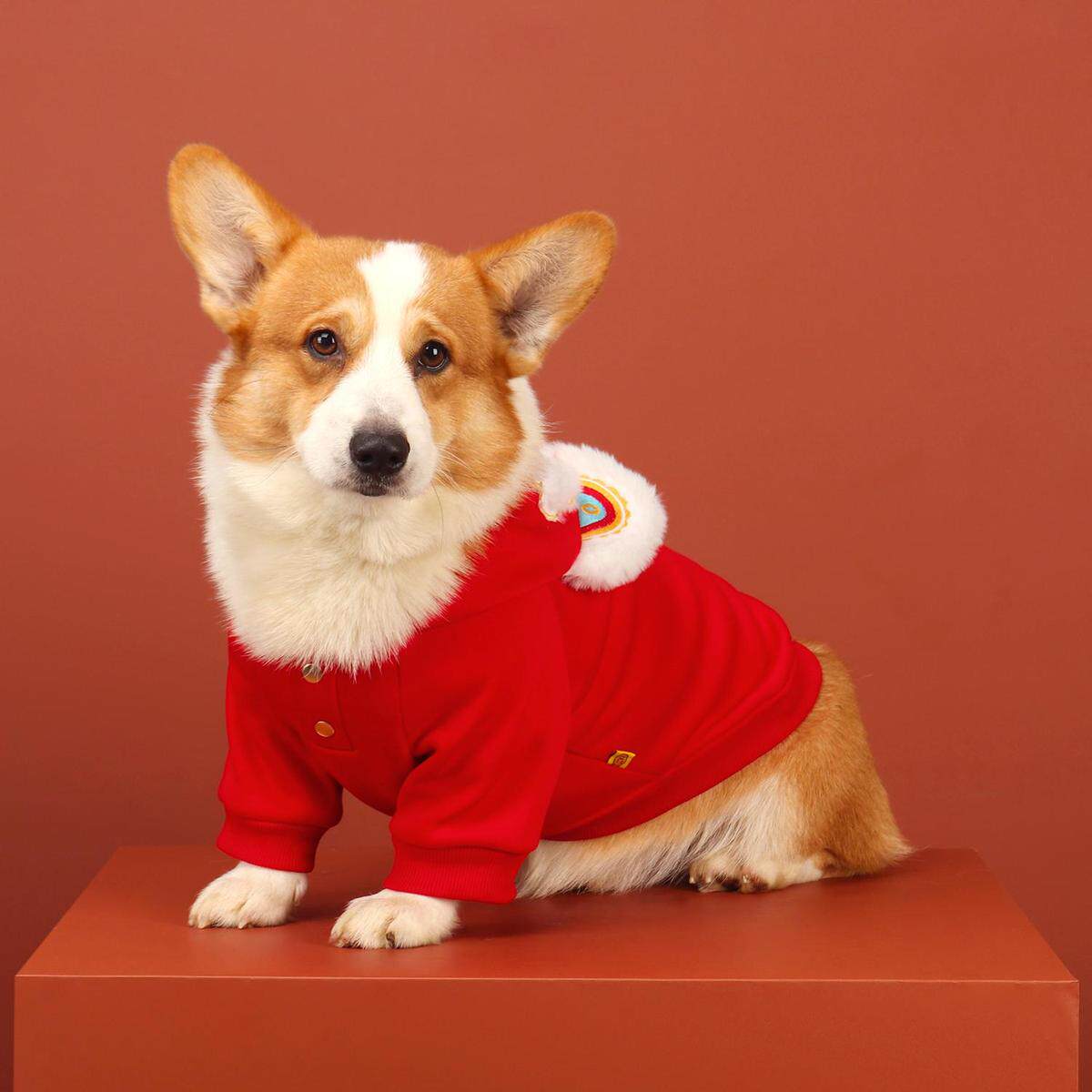 柯基狗狗衣服秋冬新款柴犬中小型犬冬季加绒保暖宠物新年喜庆卫衣