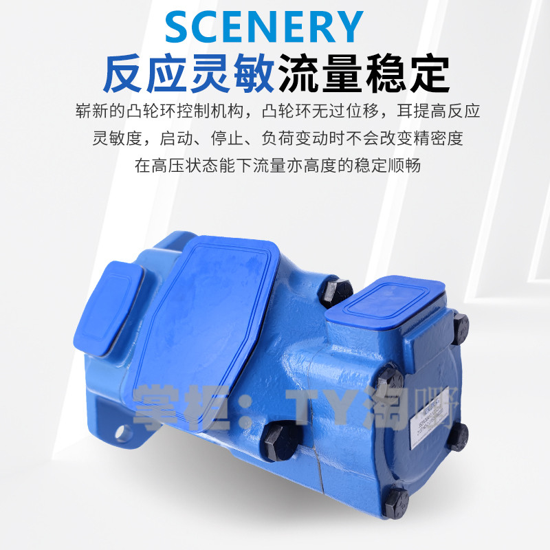 SCENERY塞纳瑞2520V-10/12/14/15/17/19/21/25A11-1/86AABCDD-22R
