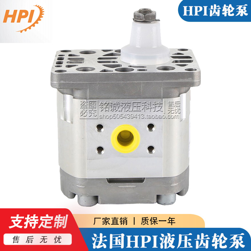 法国进口油泵HPI齿轮泵P1BAN2014BL10B02N/C5093682液压泵