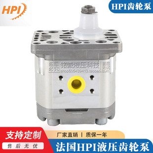 法国进口油泵HPI齿轮泵P1BAN2014BL10B02N C5093682液压泵