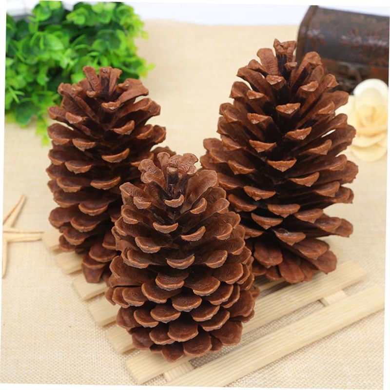 Pine Tree Christmas decworation Pinecone flower DIY 圣诞松果