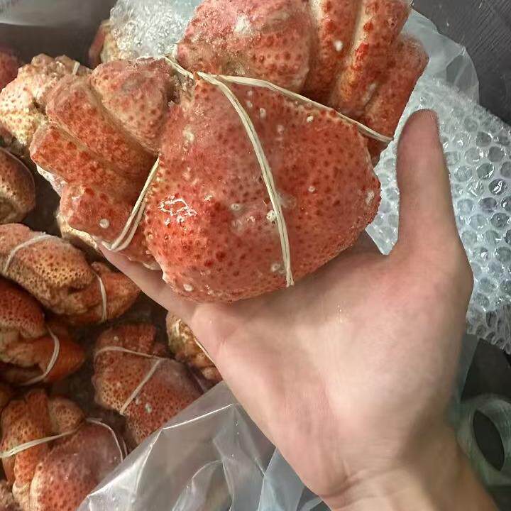 2只智利雪蟹帝王蟹平替整只大鳕帝王蟹