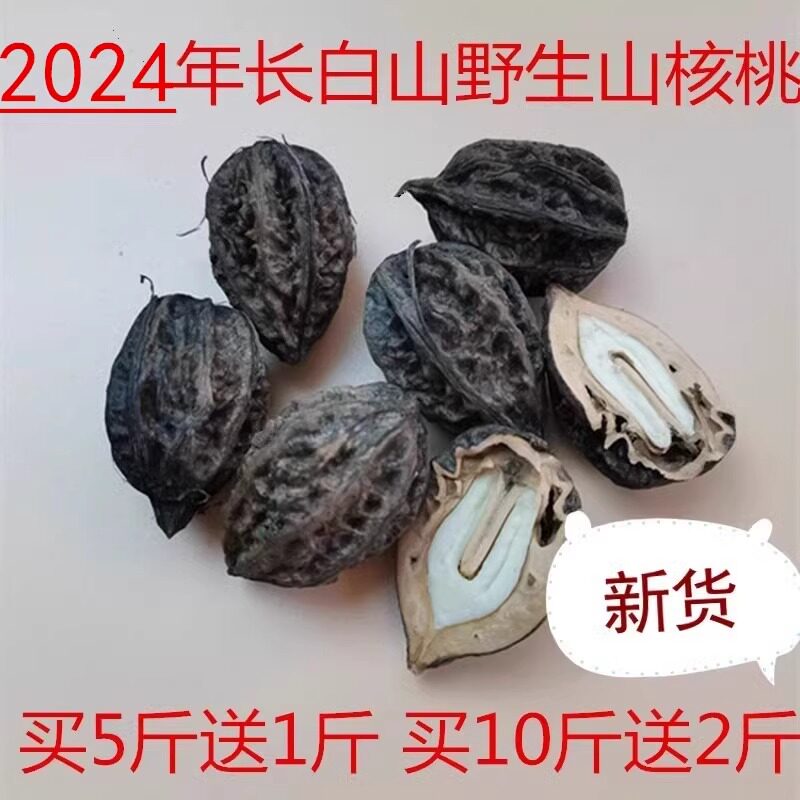 东北长白山野生山核桃厚皮核桃仁黑核桃秋子树核桃硬壳铁核桃