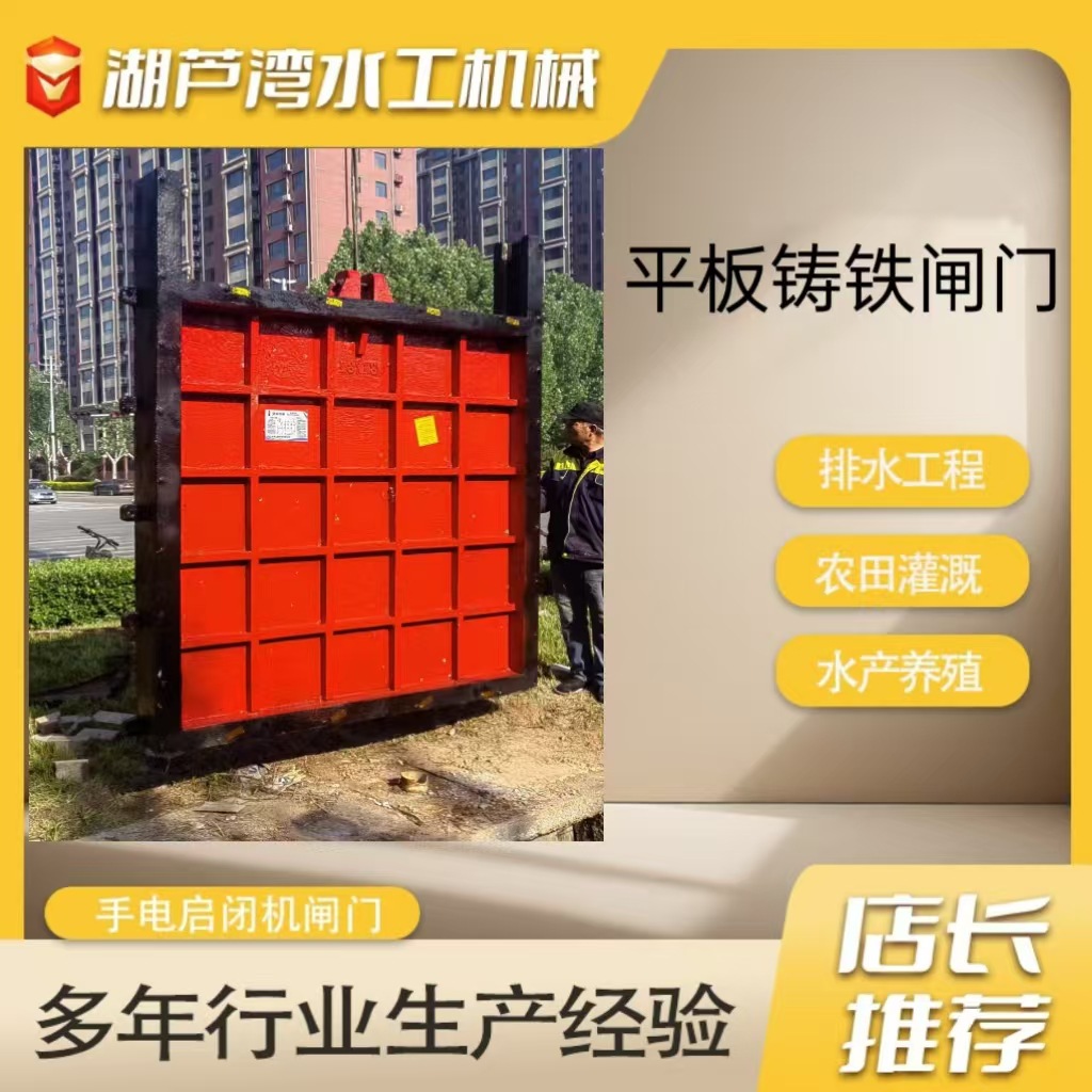 工程铸铁闸门河道手动启闭机一体式闸门污水处理平面铸铁镶铜闸门