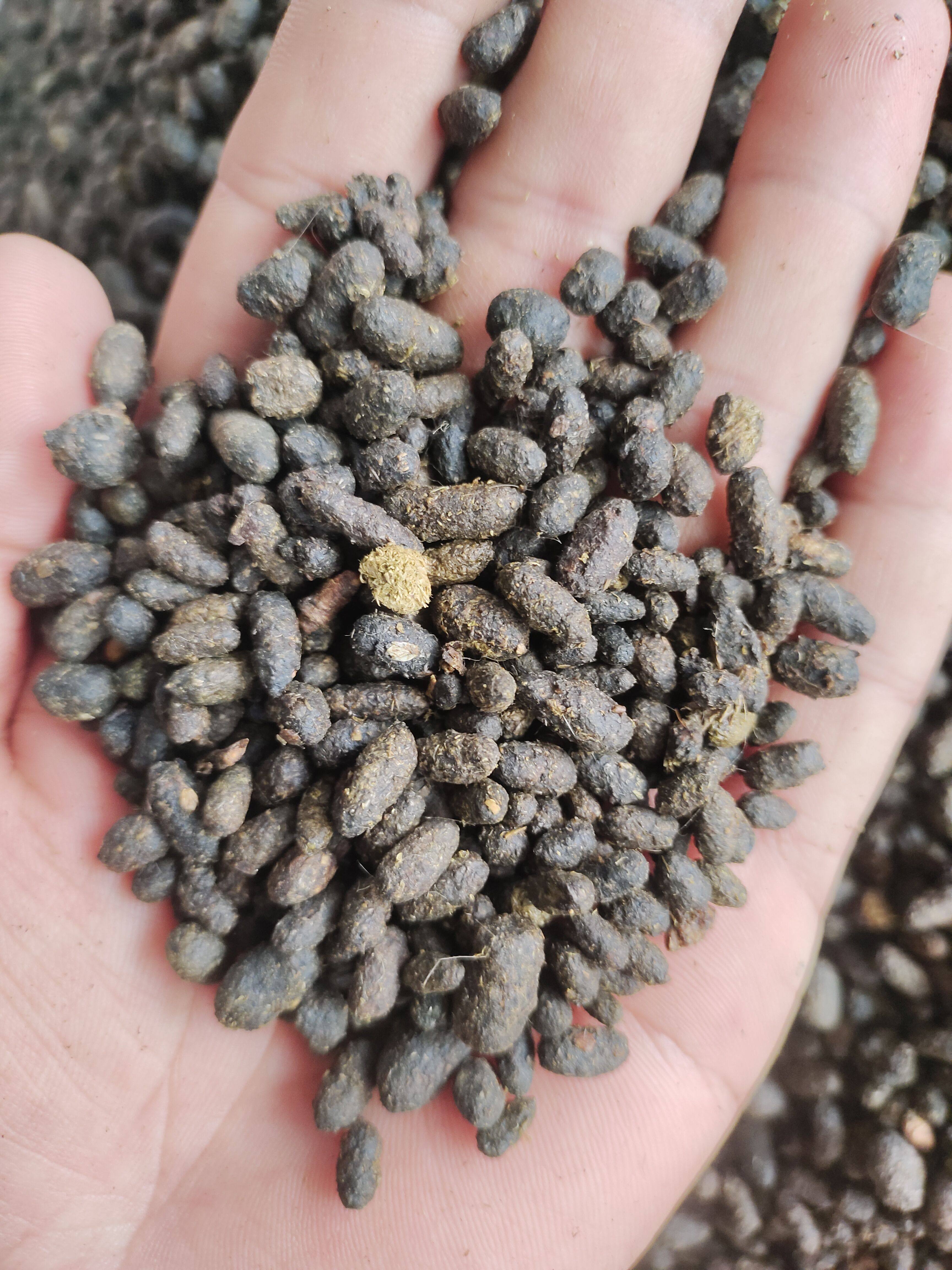 五灵脂米中药材五灵脂粉五灵脂野生五灵脂蒲黄五灵脂蒲黄正品