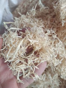 中药材竹茹 竹茹丝 竹皮 青竹茹 竹茹茶 竹茹粉批发中药大全