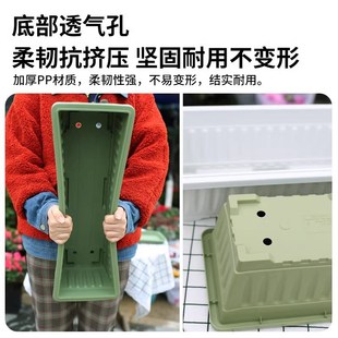 长方形塑料花盆家用草莓种植盆家庭神器家庭阳台种菜箱长条盆