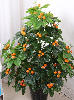 仿真金桔樱桃假树果树大树盆栽塑料植物室内装饰S盆景落地绿植摆
