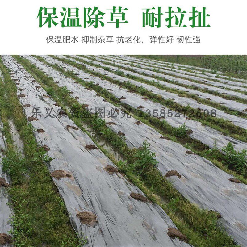 银黑双色膜反光膜农用黑地膜银黑膜除草膜 种植膜 塑X料薄膜膜加,农机/农具/农膜,农用薄膜,淘宝优惠券,粉丝福利购,淘宝优惠卷