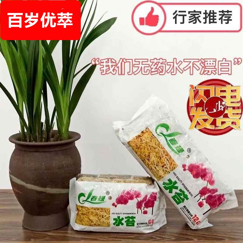 优质干水苔蝴蝶兰专用青苔兰花石斛猪笼草土苔藓鱼缸乌龟垫料花盆