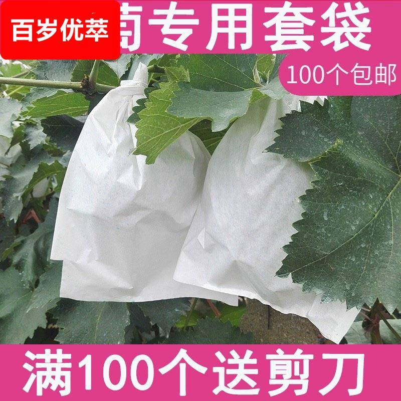 葡萄袋子防虫袋露天葡萄套袋果袋专用套袋防水套葡萄用纸袋育果袋