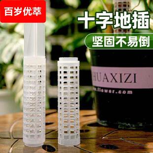 水苔柱龟背竹热植专用白龟蔓绿绒可拼接新型植物攀爬柱支撑杆花架