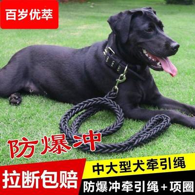 狗狗牵引绳大中型犬遛狗绳子金毛拉布拉多德牧狗链子项圈宠物用品