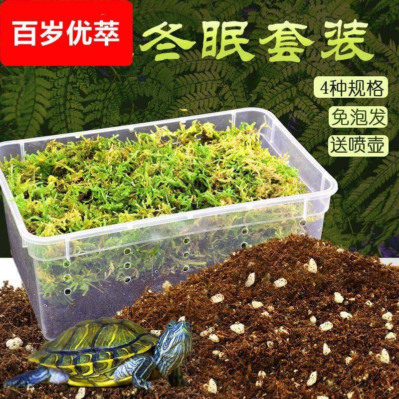 乌龟冬眠箱乌龟冬眠用品巴西龟过冬装备专用椰土苔藓沙保温冬眠窝,宠物/宠物食品及用品,爬宠缸/箱,淘宝优惠券,粉丝福利购,淘宝优惠卷