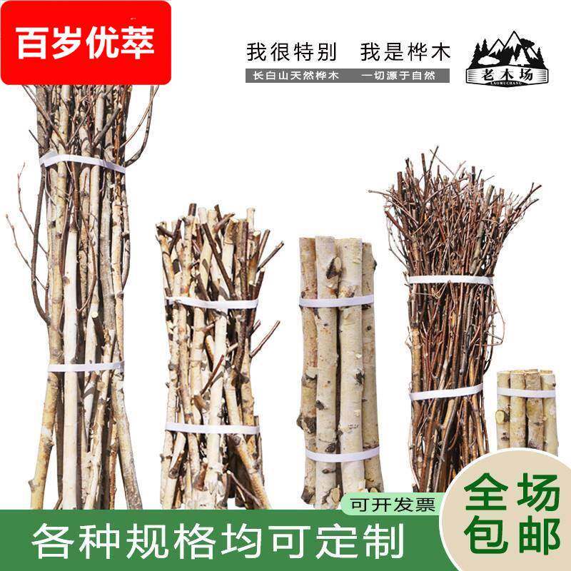 白桦树粗木段木棍树杆枯树枝树杈幼儿园手工材料墙壁隔断装饰