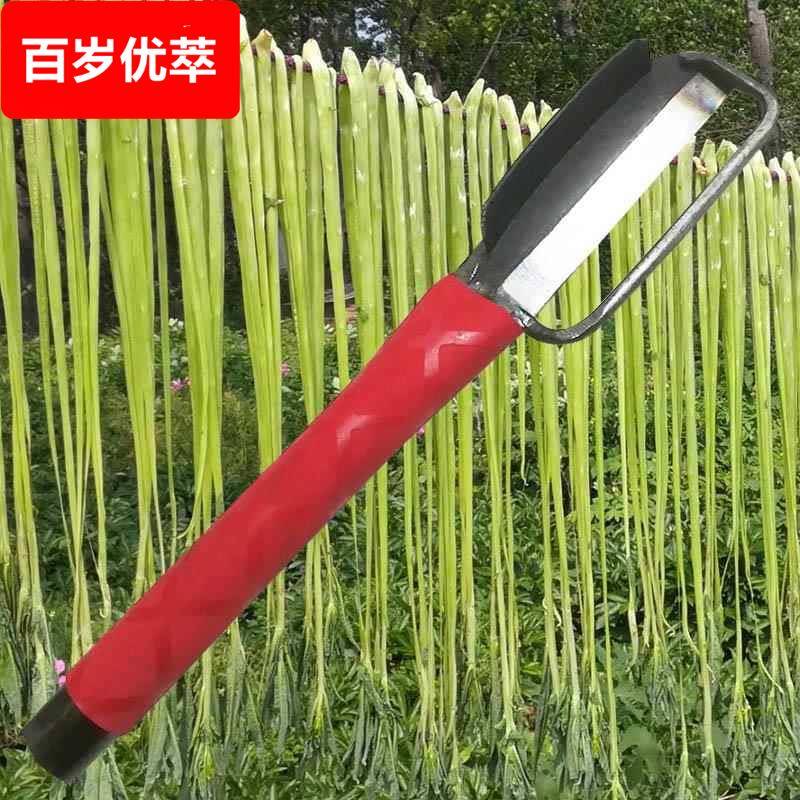 莴笋专用削皮刀贡菜苔干左手刨子厨房市场右手打刮去薄皮水果